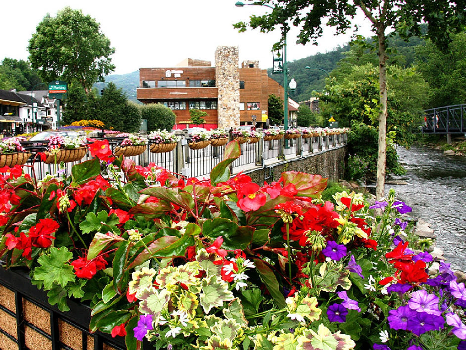 Resort photo 1
